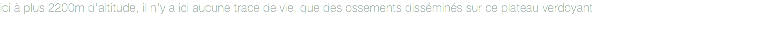 ici à plus 2200m d'altitude, il n'y a ici aucune trace de vie, que des ossements disséminés sur ce plateau verdoyant
