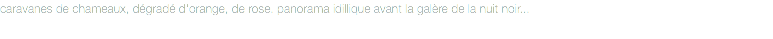 caravanes de chameaux, dégradé d'orange, de rose. panorama idillique avant la galère de la nuit noir...