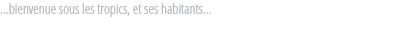 ...bienvenue sous les tropics, et ses habitants...
