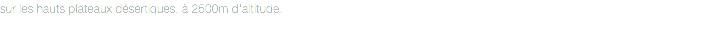 sur les hauts plateaux désertiques, à 2500m d'altitude.