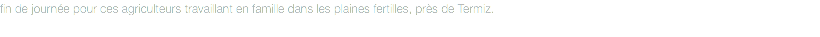 fin de journée pour ces agriculteurs travaillant en famille dans les plaines fertilles, près de Termiz.