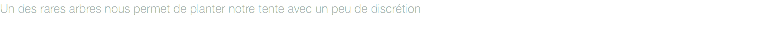Un des rares arbres nous permet de planter notre tente avec un peu de discrétion