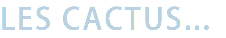 LES CACTUS...