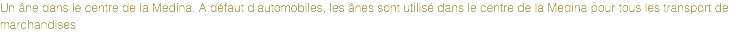 Un âne dans le centre de la Medina. A défaut d'automobiles, les ânes sont utilisé dans le centre de la Medina pour tous les transport de marchandises